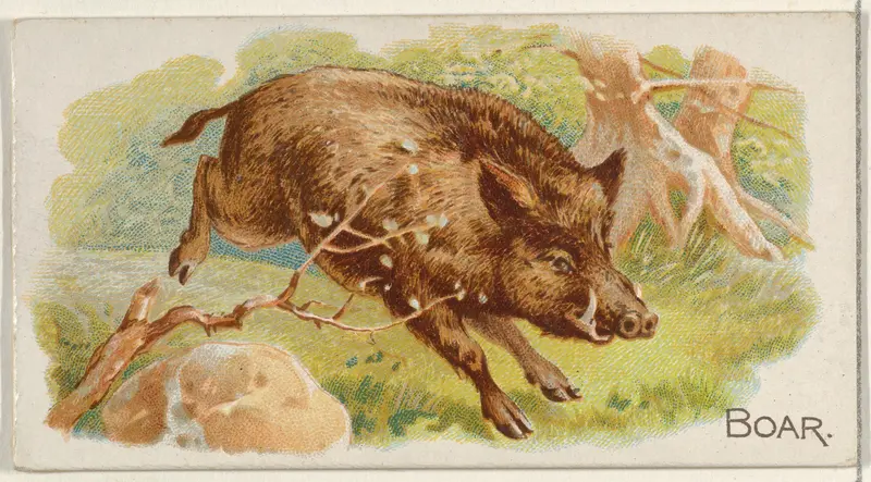 Boar, from the Quadrupeds series (N21) for Allen & Ginter Cigarettes Wall Art by Allen & Ginter - High-Resolution Digital Print