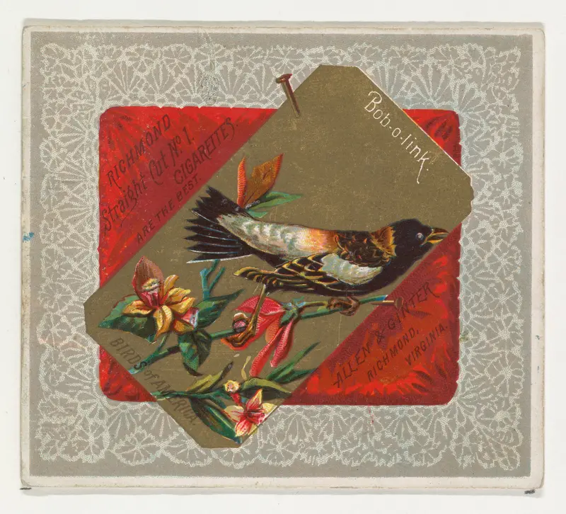 Bob-o-link, from the Birds of America series (N37) for Allen & Ginter Cigarettes Wall Art by Allen & Ginter - High-Resolution Digital Print