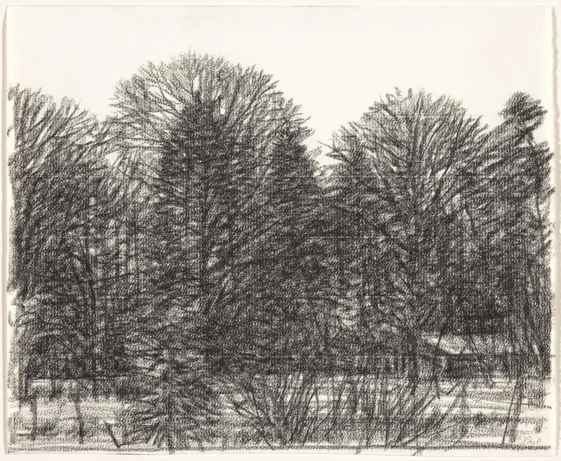 Bomen Wall Art by Kees Stoop - High-Resolution Digital Print