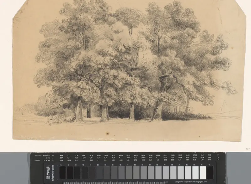 Bomen Wall Art by Jan Bedijs Tom - High-Resolution Digital Print