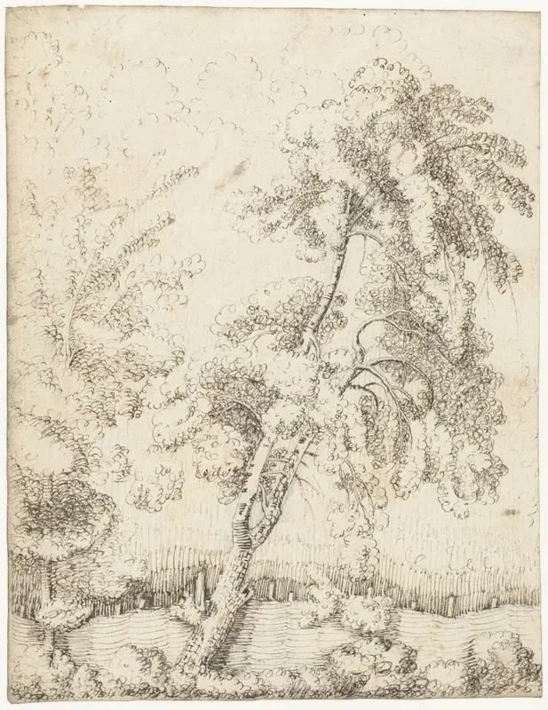 Bomen bij een hekwerk Wall Art by Unknown - High-Resolution Digital Print