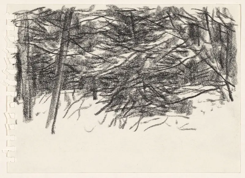 Bomen en struikgewas Wall Art by Kees Stoop - High-Resolution Digital Print