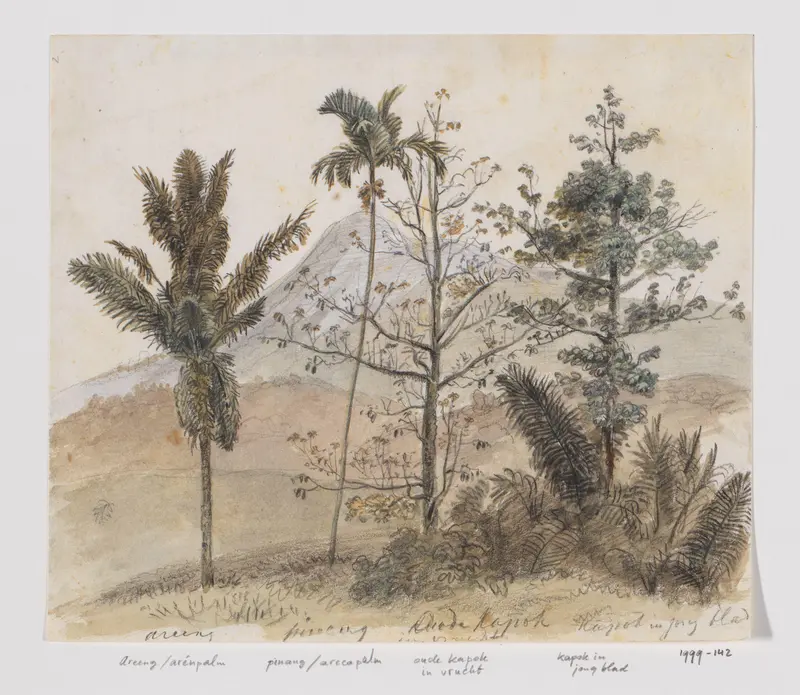 Bomen in berglandschap Java Wall Art by Adrianus Johannes Bik - High-Resolution Digital Print