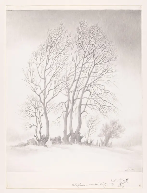 Bomen in de sneeuw Wall Art by Unknown - High-Resolution Digital Print