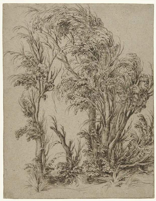 Bomen in de wind Wall Art by Jacques de Gheyn (II) - High-Resolution Digital Print
