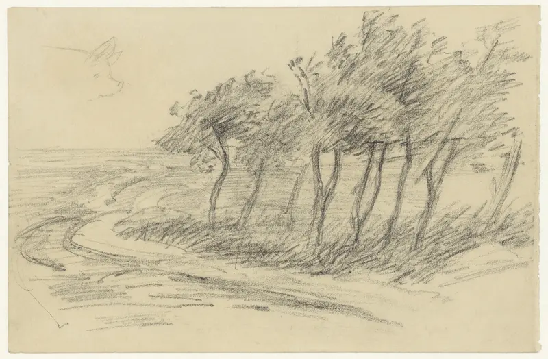 Bomen in een open landschap