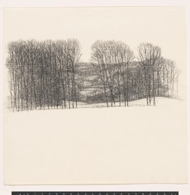 Bomen in glooiend landschap Wall Art by Kees Stoop - High-Resolution Digital Print