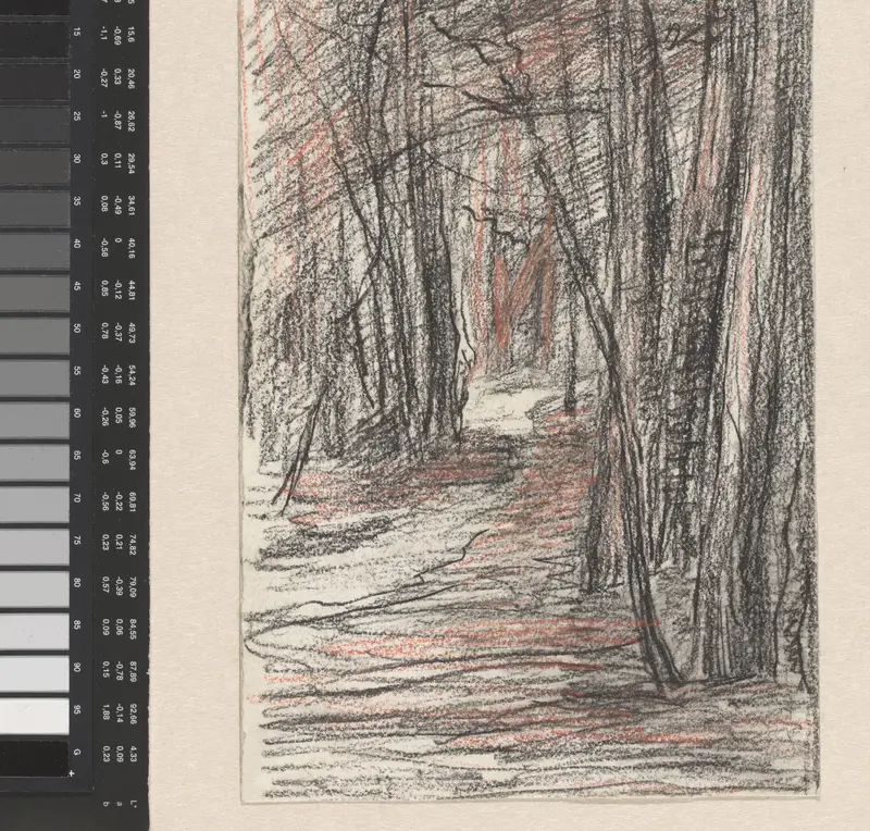 Bomen langs een bospad Wall Art by Sientje Mesdag-van Houten - High-Resolution Digital Print