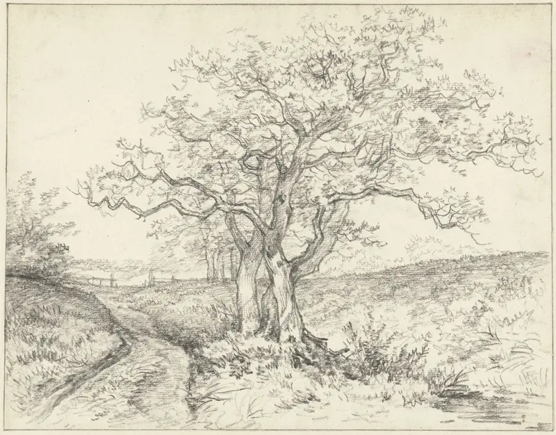 Bomen langs een weggetje Wall Art by Jan Hulswit - High-Resolution Digital Print