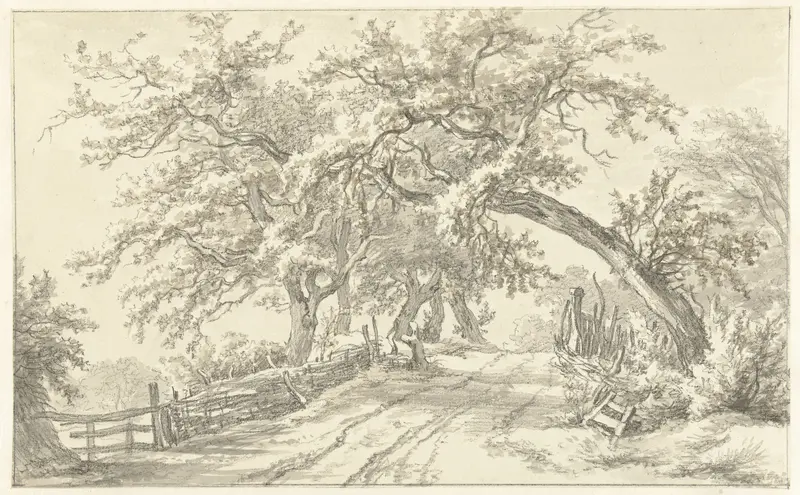 Bomen langs weg bij Broekhuizen in Drenthe Wall Art by Egbert van Drielst - High-Resolution Digital Print