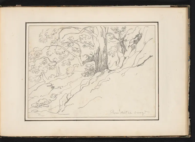 Bomen te Roccantica Wall Art by Unknown - High-Resolution Digital Print