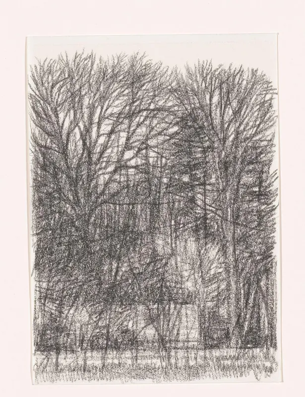 Bomen zonder blad Wall Art by Kees Stoop - High-Resolution Digital Print