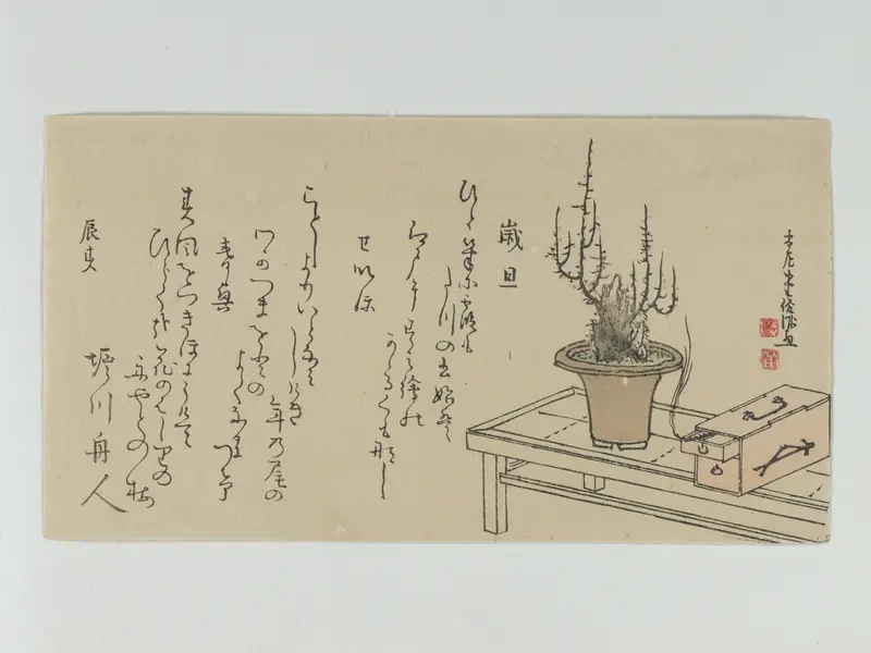 Bonsai Plum Tree on Bench and Box