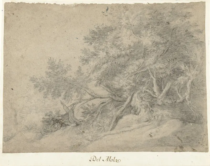 Boomgroep in een bergachtig landschap Wall Art by Pier Francesco Mola - High-Resolution Digital Print