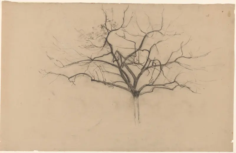 Boomstudie Wall Art by Cornelis Gerardus 't Hooft (1791-1871) - High-Resolution Digital Print