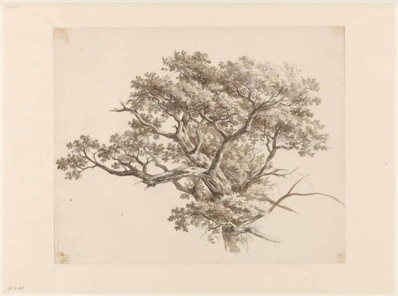 Boomstudie Wall Art by Barend Cornelis Koekkoek - High-Resolution Digital Print
