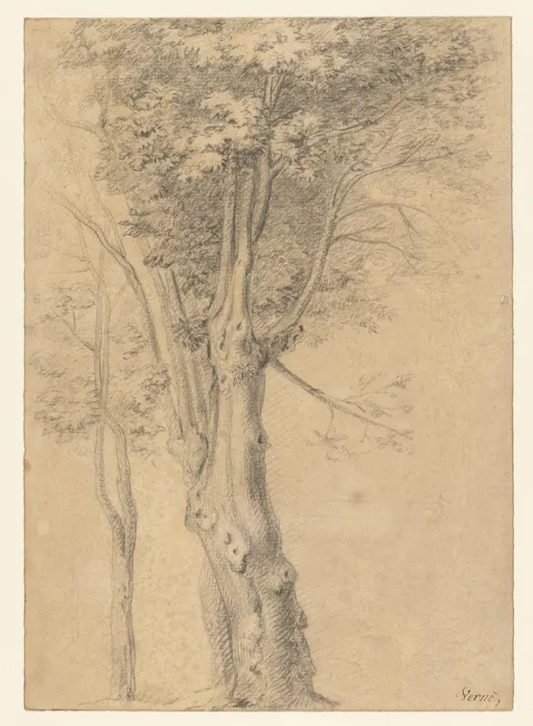 Boomstudies Wall Art by Claude Joseph Vernet - High-Resolution Digital Print