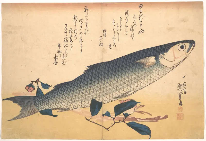 Bora Fish with Camellia, from the series Uozukushi (Every Variety of Fish)