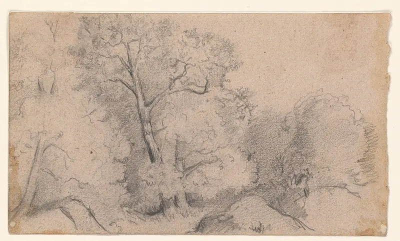 Bos te Fontainebleau Wall Art by August Allebé - High-Resolution Digital Print
