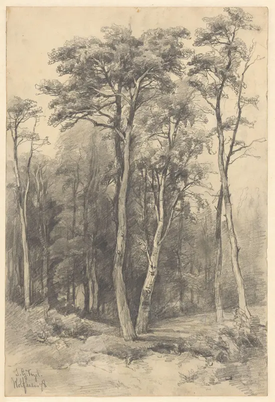 Bos te Wolfheze Wall Art by Unknown - High-Resolution Digital Print