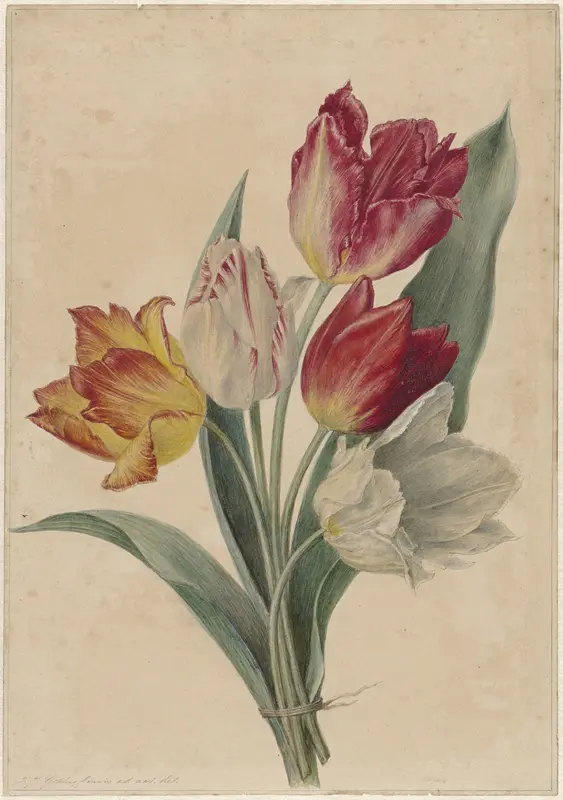 Bos tulpen Wall Art by Jan Jacob Goteling Vinnis - High-Resolution Digital Print