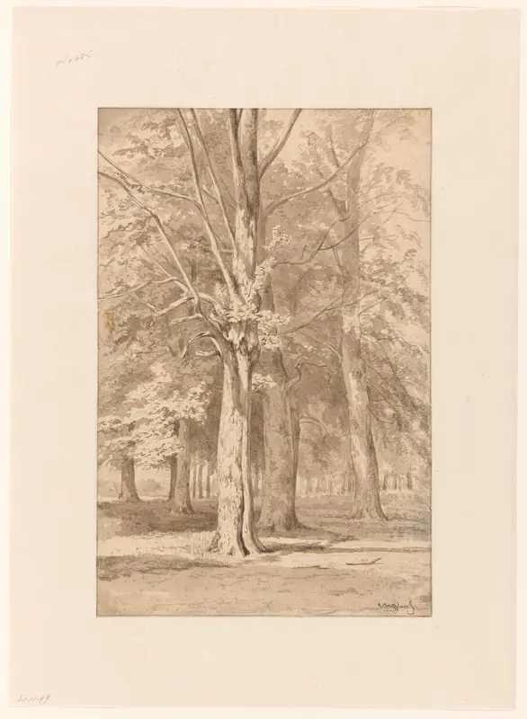 Bosgezicht Wall Art by Cornelis Steffelaar - High-Resolution Digital Print