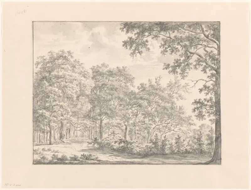 Bosgezicht Wall Art by Jan Andries Töpfer - High-Resolution Digital Print