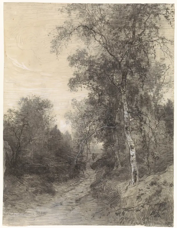 Bosgezicht Wall Art by Johannes Warnardus Bilders - High-Resolution Digital Print