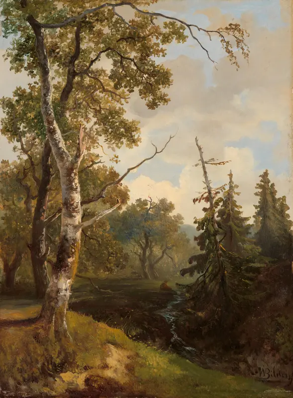 Bosgezicht bij Wolfheze. Wall Art by Johannes Warnardus Bilders - High-Resolution Digital Print