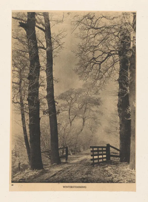 Bosgezicht in de winter Wall Art by Unknown - High-Resolution Digital Print
