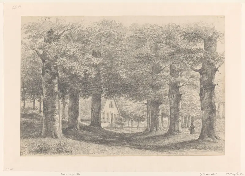 Bosgezicht in Doorn Wall Art by Unknown - High-Resolution Digital Print