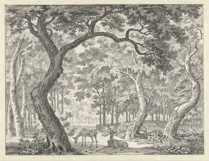 Bosgezicht met twee herten Wall Art by Joannes de Bosch - High-Resolution Digital Print