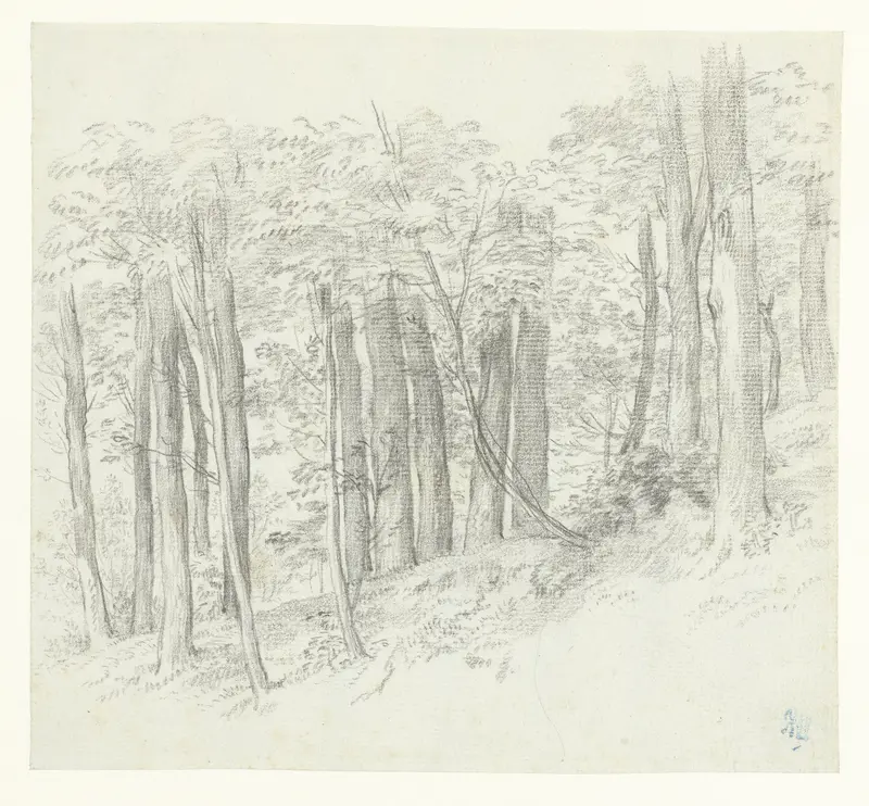 Bosheuvel Wall Art by Charles Nicolas Cochin (II) - High-Resolution Digital Print