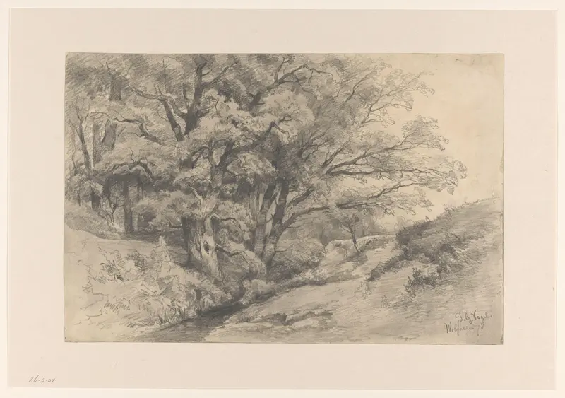 Bosrand met een beekje bij Wolfheze Wall Art by Unknown - High-Resolution Digital Print