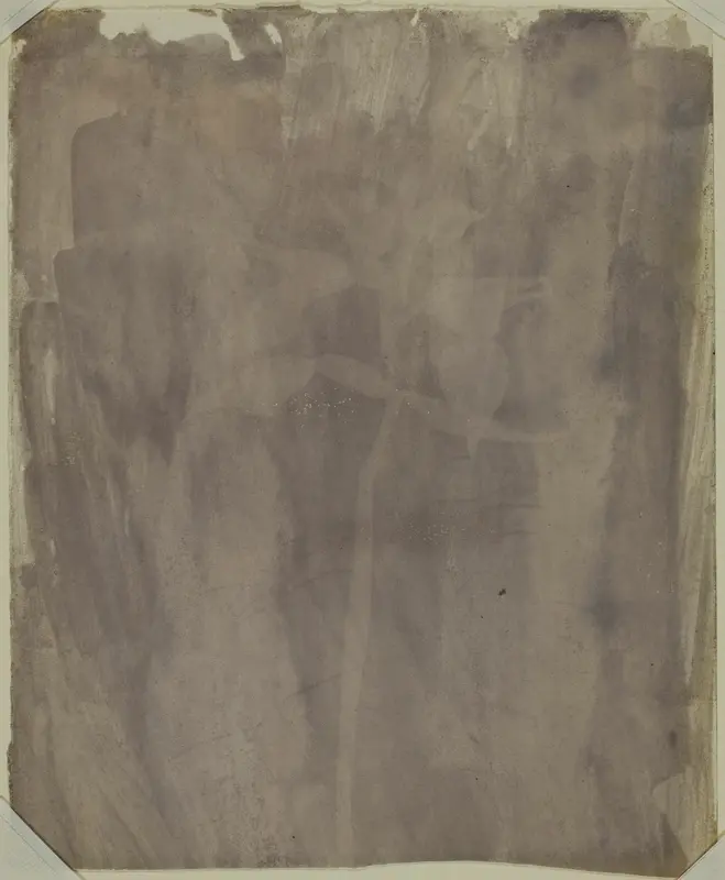 Botanical Specimen Wall Art by William Henry Fox Talbot - High-Resolution Digital Print