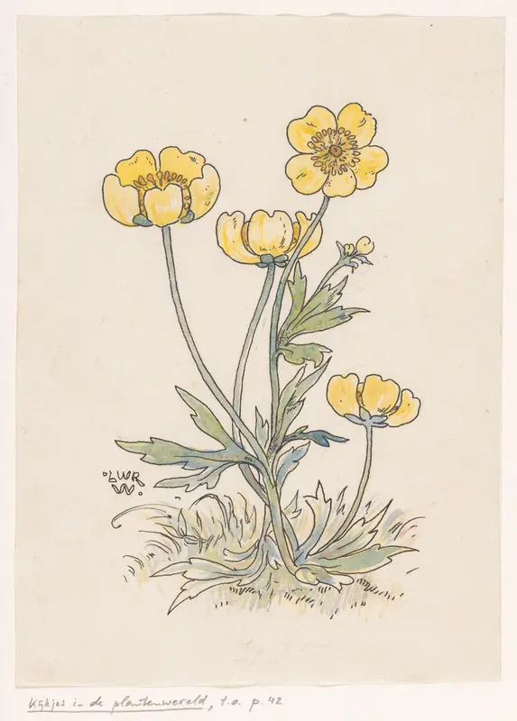 Boterbloemen Wall Art by Unknown - High-Resolution Digital Print