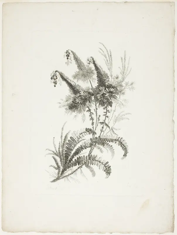 Bouquet, from Collection of New Flowers of Taste for the Manufacture of Persian Cloth, Invented and Drawn by Jean Pillement Wall Art by Johann Heinrich Hess - High-Resolution Digital Print
