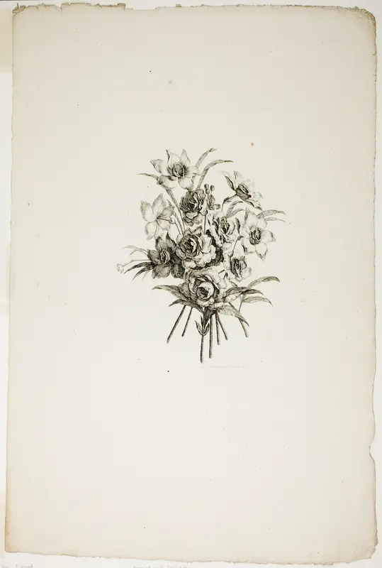 Bouquet with Daffodils, from Collection of Different Bouquets of Flowers, Invented and Drawn by Jean Pillement and Engraved by P. C. Canot