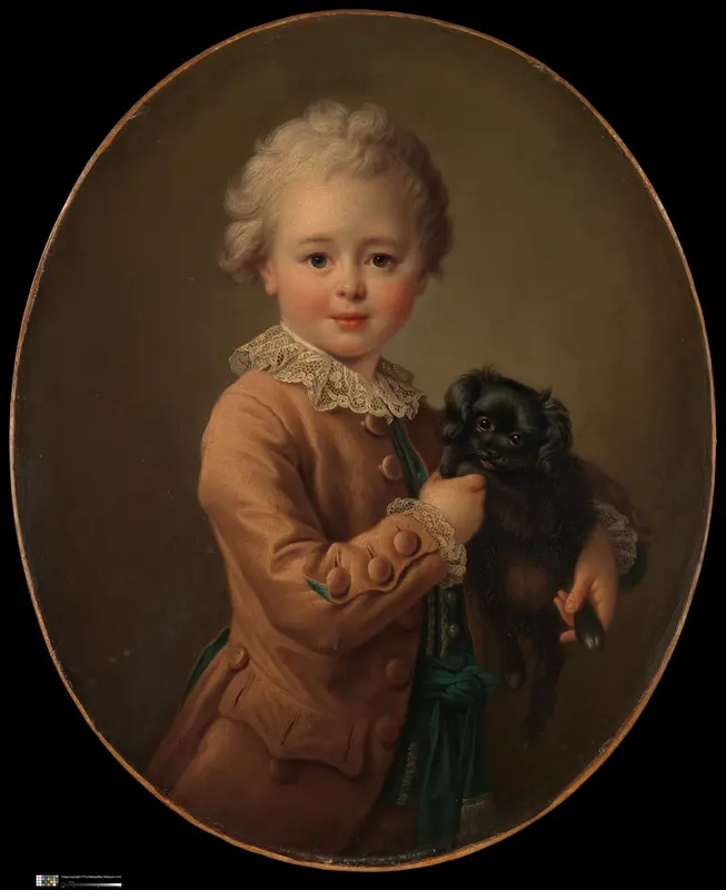 Boy with a Black Spaniel Wall Art by François Hubert Drouais - High-Resolution Digital Print