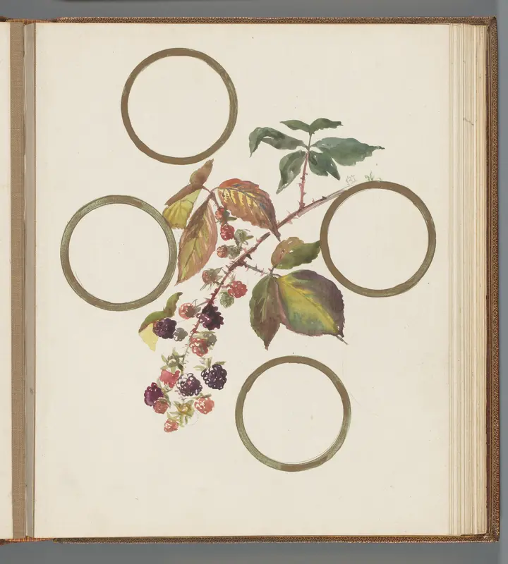 Bramentak tussen vier cirkels Wall Art by Unknown - High-Resolution Digital Print