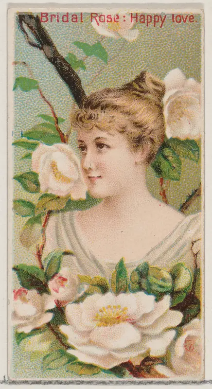 Bridal Rose: Happy Love, from the series Floral Beauties and Language of Flowers (N75) for Duke brand cigarettes Wall Art by American Tobacco Company - High-Resolution Digital Print