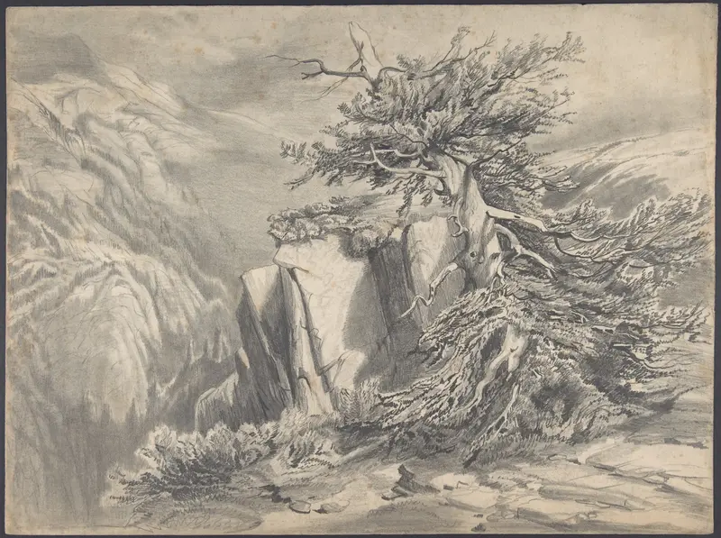 Broken Tree in  Moutainous Landscape Wall Art by Alexandre Calame - High-Resolution Digital Print