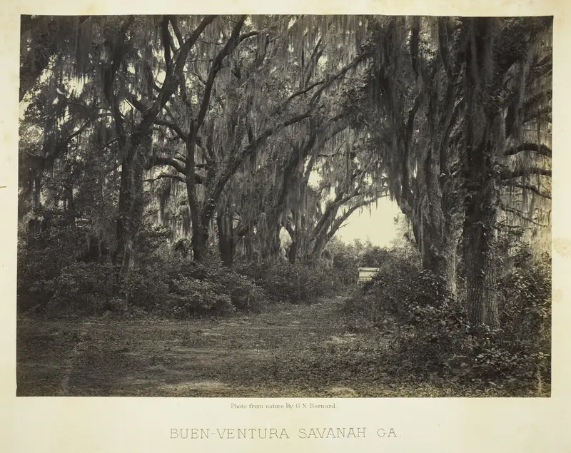 Buen-Ventura Savannah, Ga.