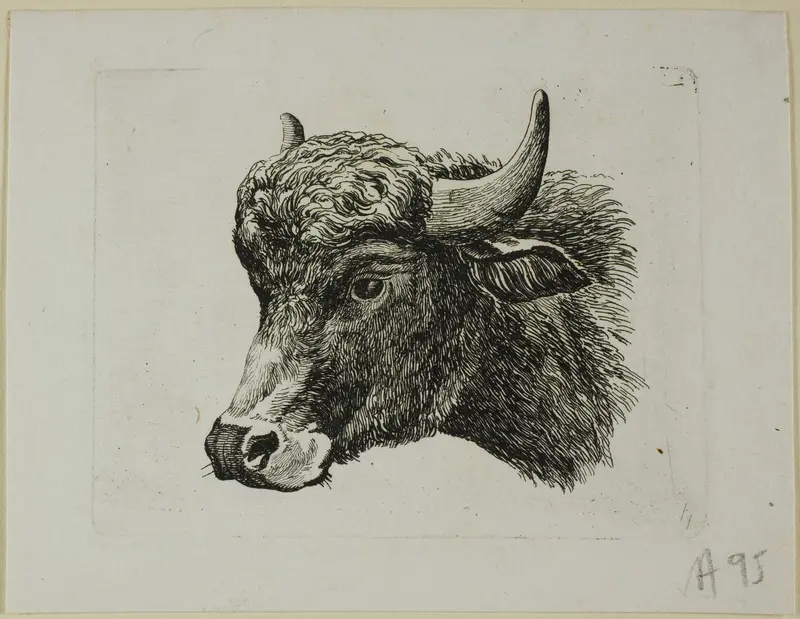 Buffalo Head Facing Left, from Die Zweite Thierfolge Wall Art by Johann Christian Reinhart - High-Resolution Digital Print