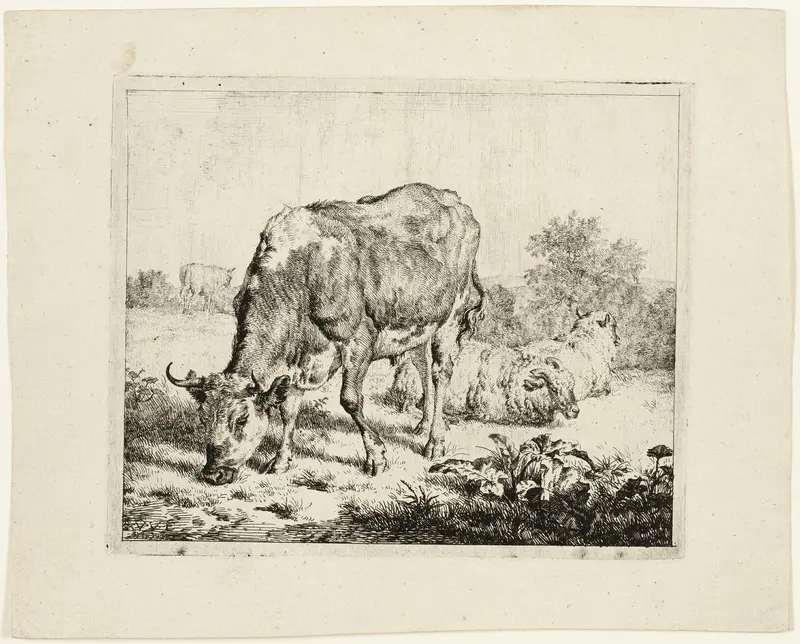 Bull Grazing and Three Sheep Wall Art by Adriaen van de Velde - High-Resolution Digital Print