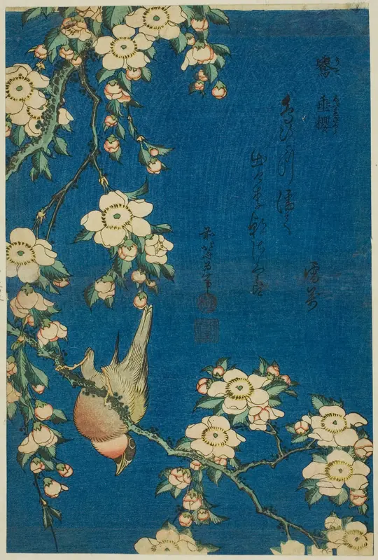 Bullfinch and Weeping Cherry (Uso, shidarezakura), from an untitled series of flowers and birds