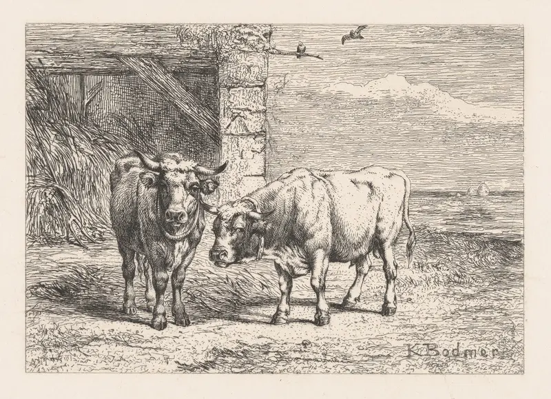 Bulls, from "Eaux-Fortes Animaux & Paysages" Wall Art by Karl Bodmer - High-Resolution Digital Print