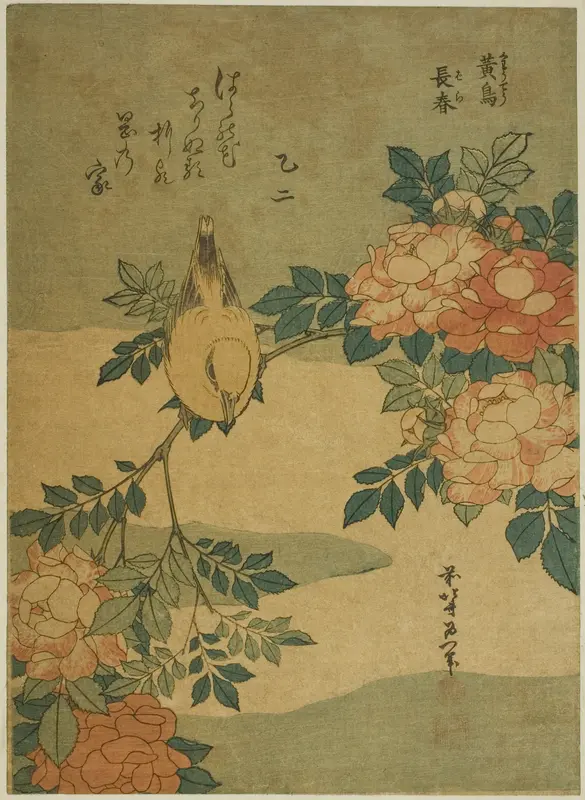 Bush Warbler and Rose (Kocho, bara), from an untitled series of flowers and birds