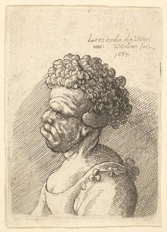Bust of a deformed woman with curly hair in profile to the left Wall Art by Wenceslaus Hollar - High-Resolution Digital Print