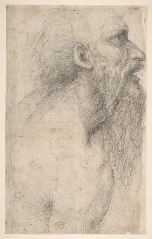 Bust of a Man with Long Beard (recto) Wall Art by Sodoma (Giovanni Antonio Bazzi) - High-Resolution Digital Print